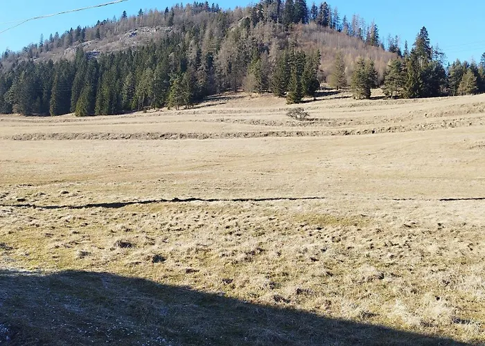 Ondrus *